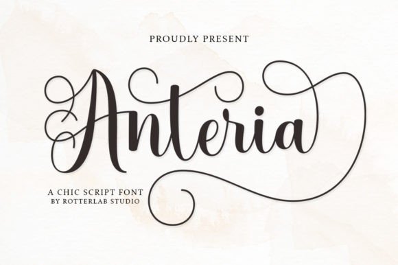Anteria Script: Capturing Romance in Every Curve