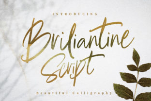 Briliantine Script: A Super-Chilled Calligraphy Font for Modern Designers