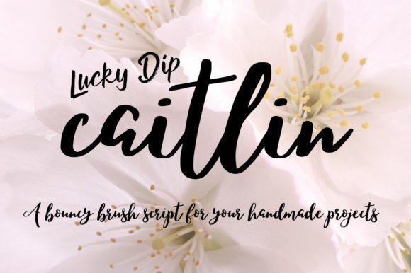 Caitlin Script: A Brush Font That Works as Hard as You Do